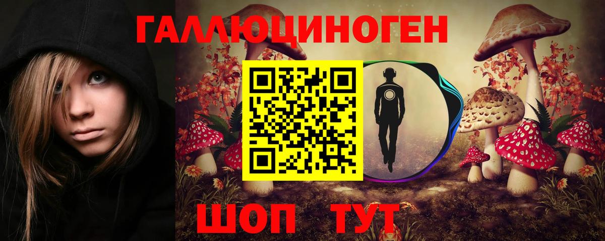 Псилоцибиновые грибы Psilocybe  Псилоцибиновые грибы мицелий  Вход с VPN  Ахтубинск 